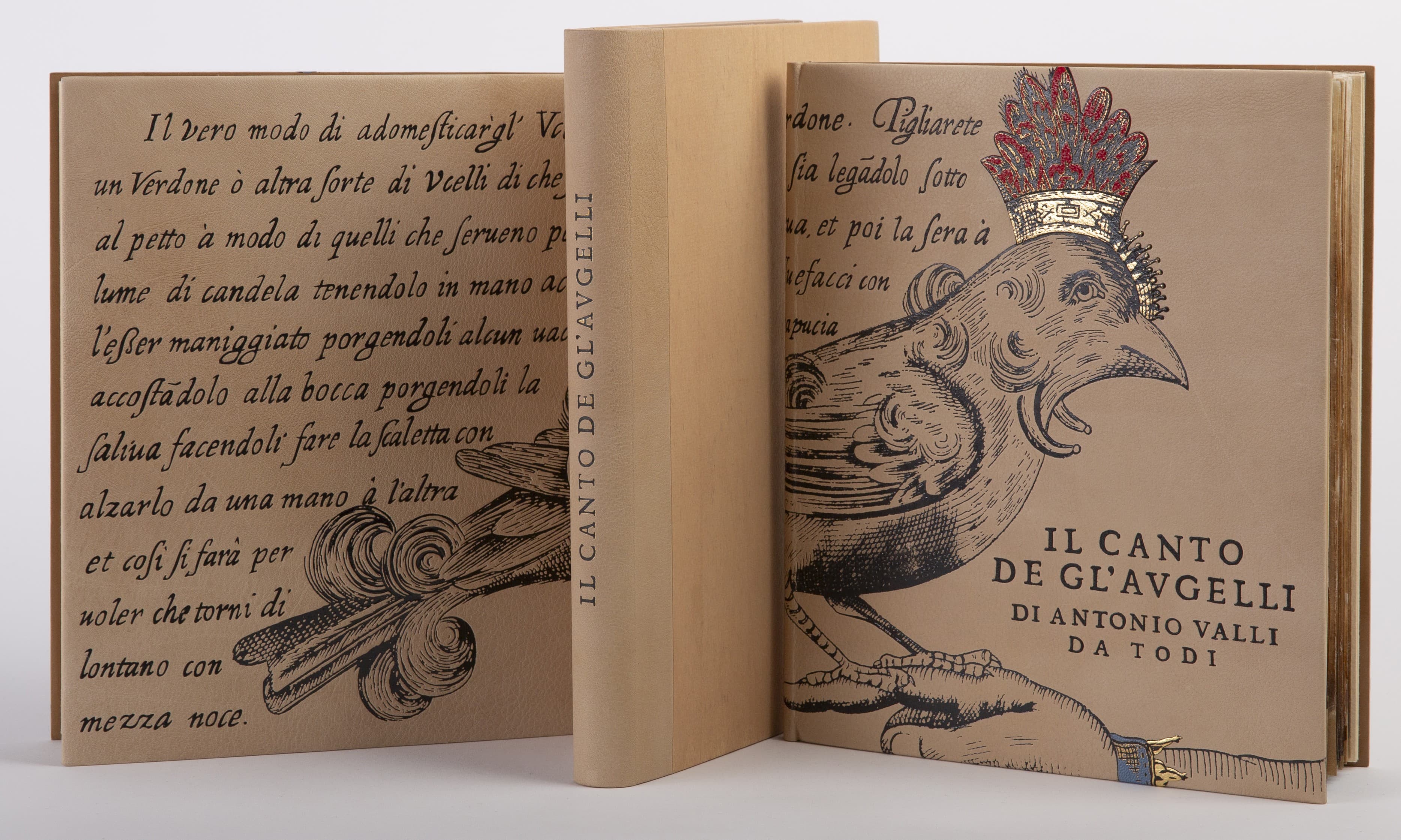 Castiglioni Codex — Augelli edition